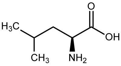 L-Leucine USP/AJI/EP